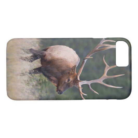 Rocky Mountain Elk Case-Mate iPhone Hülle (Rückseite (Horizontal))