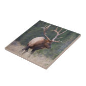 Rocky Mountain Elk Fliese (Seite)