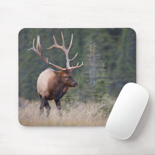 Rocky Mountain Elk Mousepad (Mit Mouse)
