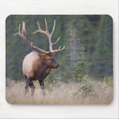 Rocky Mountain Elk Mousepad (Vorne)