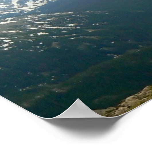 Rocky Mountain Elk Poster (Ecke)