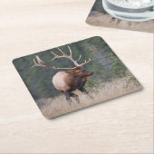 Rocky Mountain Elk Rechteckiger Pappuntersetzer (angewinkelt)