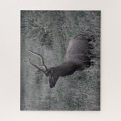 Rocky Mountain Elk - RMNP - 16x20 - 520 Stk. Puzzle (Vertikal)