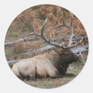 Rocky Mountain Elk Runder Aufkleber