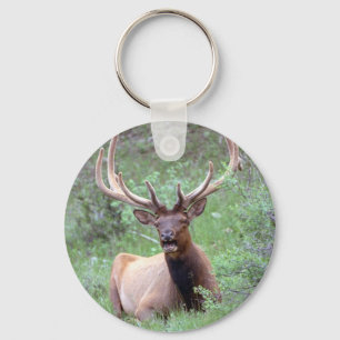 Rocky Mountain Elk Schlüsselanhänger