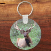 Rocky Mountain Elk Schlüsselanhänger (Vorderseite)