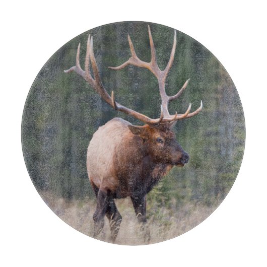 Rocky Mountain Elk Schneidebrett (Vorderseite)