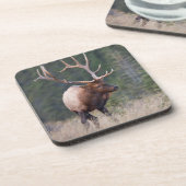 Rocky Mountain Elk Untersetzer (Linke Seite)