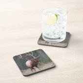 Rocky Mountain Elk Untersetzer (Rechte Seite)