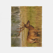 Rocky Mountain Elk | Yellowstone-Nationalpark Fleecedecke (Vorderseite)