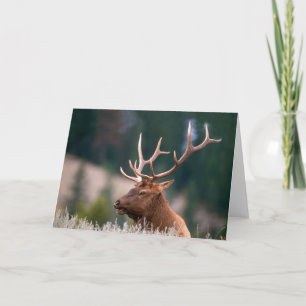 Rocky Mountain Elk Yellowstone Nationalpark Karte