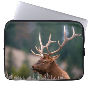 Rocky Mountain Elk Yellowstone Nationalpark Laptopschutzhülle