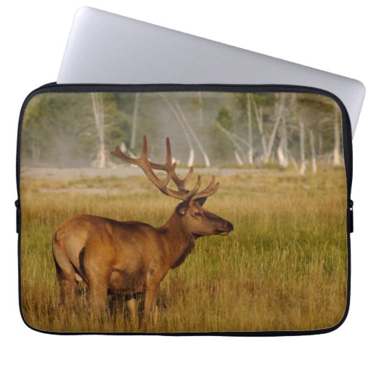 Rocky Mountain Elk | Yellowstone-Nationalpark Laptopschutzhülle (Vorderseite)
