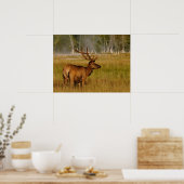 Rocky Mountain Elk | Yellowstone-Nationalpark Poster (Küche)