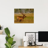 Rocky Mountain Elk | Yellowstone-Nationalpark Poster (Heimbüro)