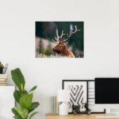 Rocky Mountain Elk Yellowstone Nationalpark Poster (Heimbüro)