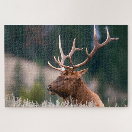 Rocky Mountain Elk Yellowstone Nationalpark Puzzle (Horizontal)
