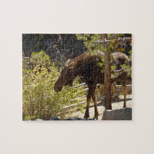 Rocky Mountain Elose Naturfotografie Puzzle (Horizontal)