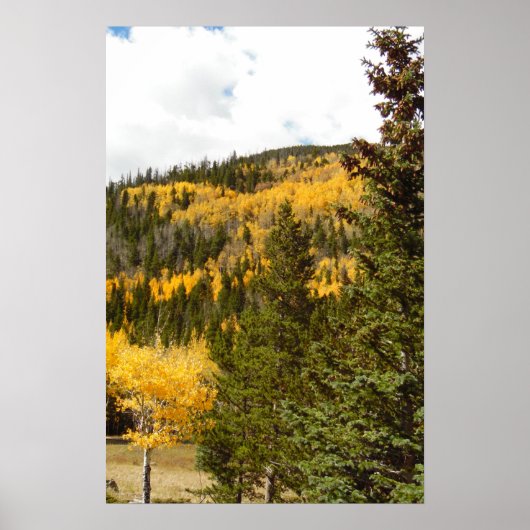 Rocky Mountain Fall Color Foto Naturwall Poster (Vorne)