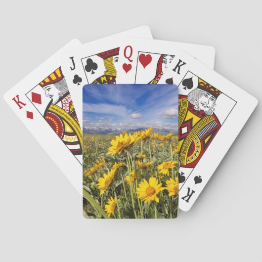 Rocky Mountain Front Range Spielkarten (Rückseite)