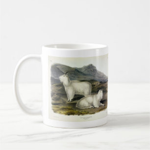 Rocky Mountain Goat (Capra Americana by Audubon Kaffeetasse