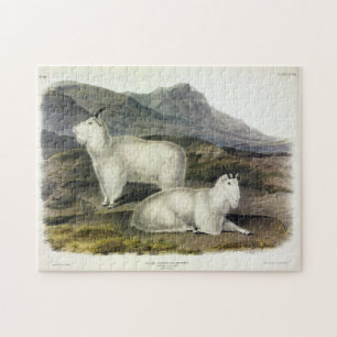 Rocky Mountain Goat (Capra Americana by Audubon Puzzle