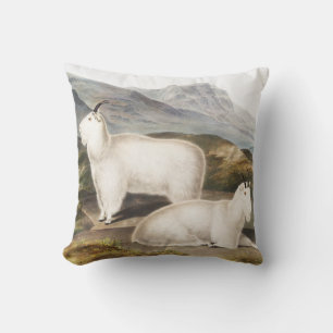 Rocky Mountain Goat (Capra Americana) Illustration Kissen