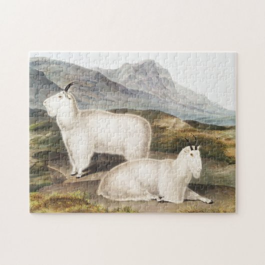 Rocky Mountain Goat (Capra Americana) Illustration Puzzle (Horizontal)