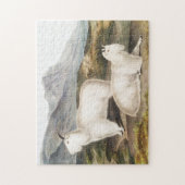 Rocky Mountain Goat (Capra Americana) Illustration Puzzle (Vertikal)