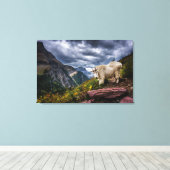 Rocky Mountain Goat Leinwanddruck (Insitu (Holzboden))