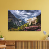 Rocky Mountain Goat Leinwanddruck (Insitu (Wohnzimmer))