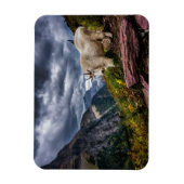 Rocky Mountain Goat Magnet (Vertikal)