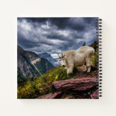 Rocky Mountain Goat Notizblock (Rückseite)