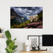 Rocky Mountain Goat Poster (Heimbüro)