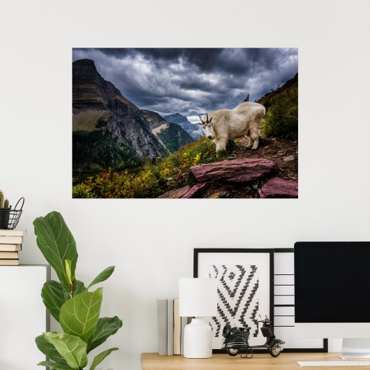 Rocky Mountain Goat Poster (Heimbüro)