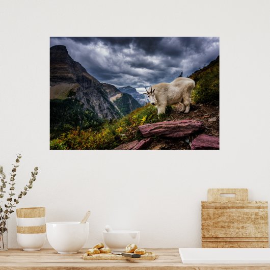 Rocky Mountain Goat Poster (Küche)