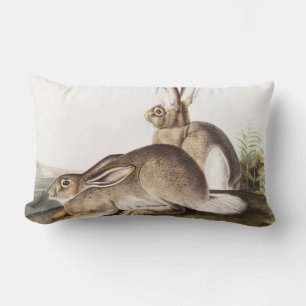 Rocky Mountain Hare (Lepus Townsendii) Lendenkissen
