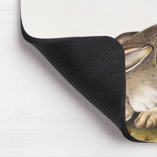 Rocky Mountain Hare (Lepus Townsendii) Mousepad (Ecke)