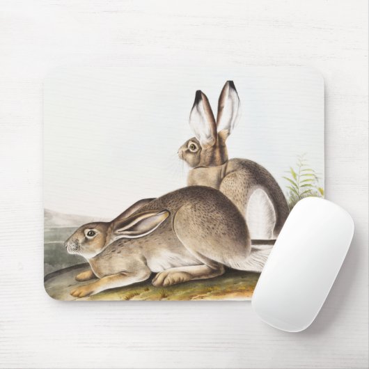 Rocky Mountain Hare (Lepus Townsendii) Mousepad (Mit Mouse)