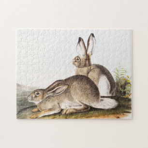 Rocky Mountain Hare (Lepus Townsendii) Puzzle