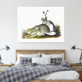 Rocky Mountain Hare oder Weißschwanzhase Leinwanddruck (Insitu (Schlafzimmer))