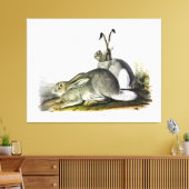 Rocky Mountain Hare oder Weißschwanzhase Leinwanddruck (Insitu (Wohnzimmer))