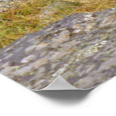 Rocky-Mountain-Hirsch Poster (Ecke)