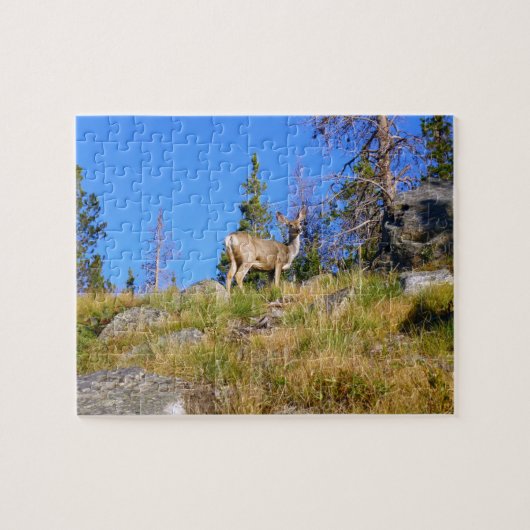Rocky-Mountain-Hirsch Puzzle (Horizontal)