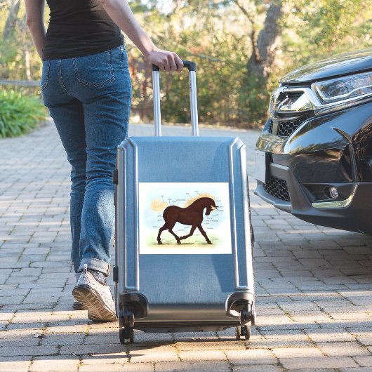 Rocky Mountain Horse Equine Anatomie Chart Aufkleber (Koffer Insitu)