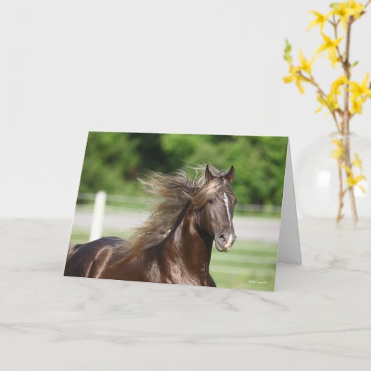 Rocky Mountain Horse Hal Headshot Karte (Gelbe Blume)