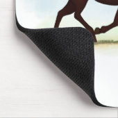 Rocky Mountain Horse Reittier Mousepad (Ecke)