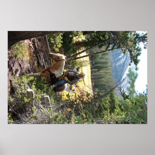 Rocky Mountain Horse Ride Poster (Vorne)