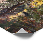 Rocky Mountain Landschaft Foto Naturschauplatz Poster (Ecke)