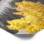 Rocky Mountain Landschaft Foto Naturschauplatz Poster (Ecke)